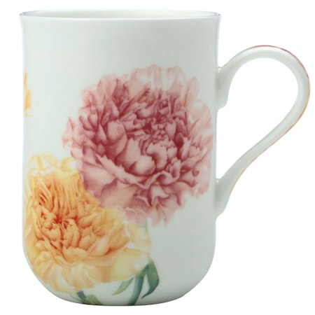 Floraide Mugg Carnations