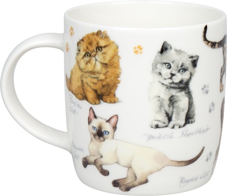 Mugg Cats