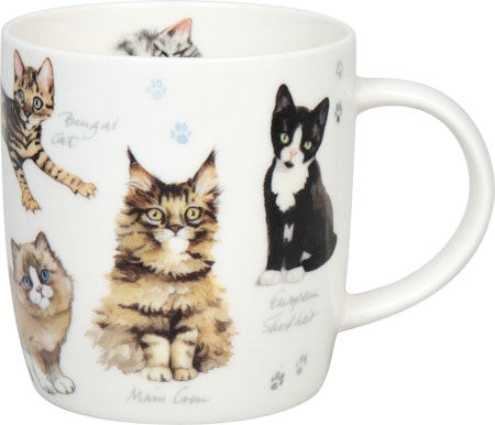 Mugg Cats