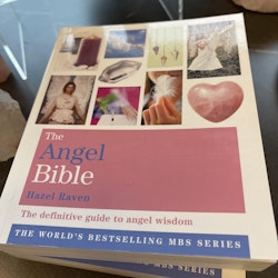 The Angel Bible