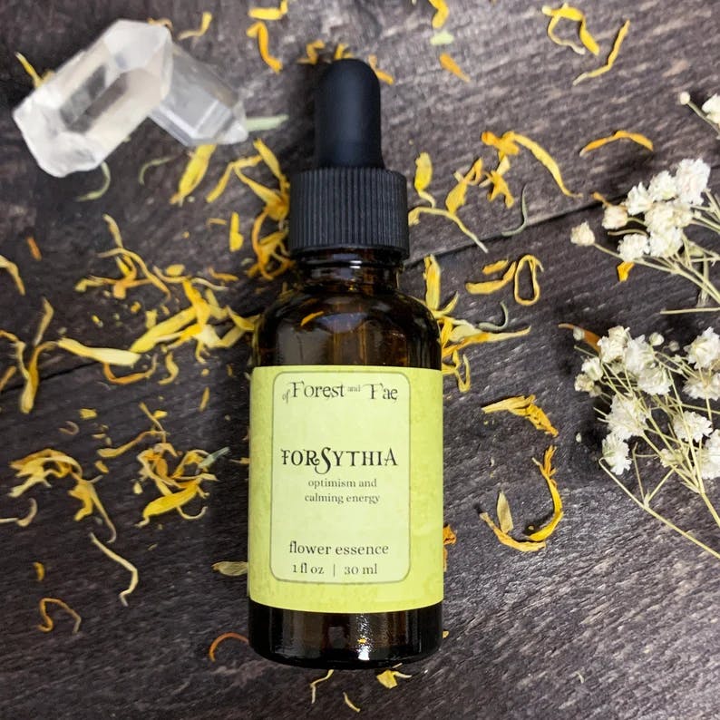 Forsythia Flower Essence