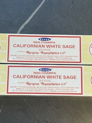 California White Sage