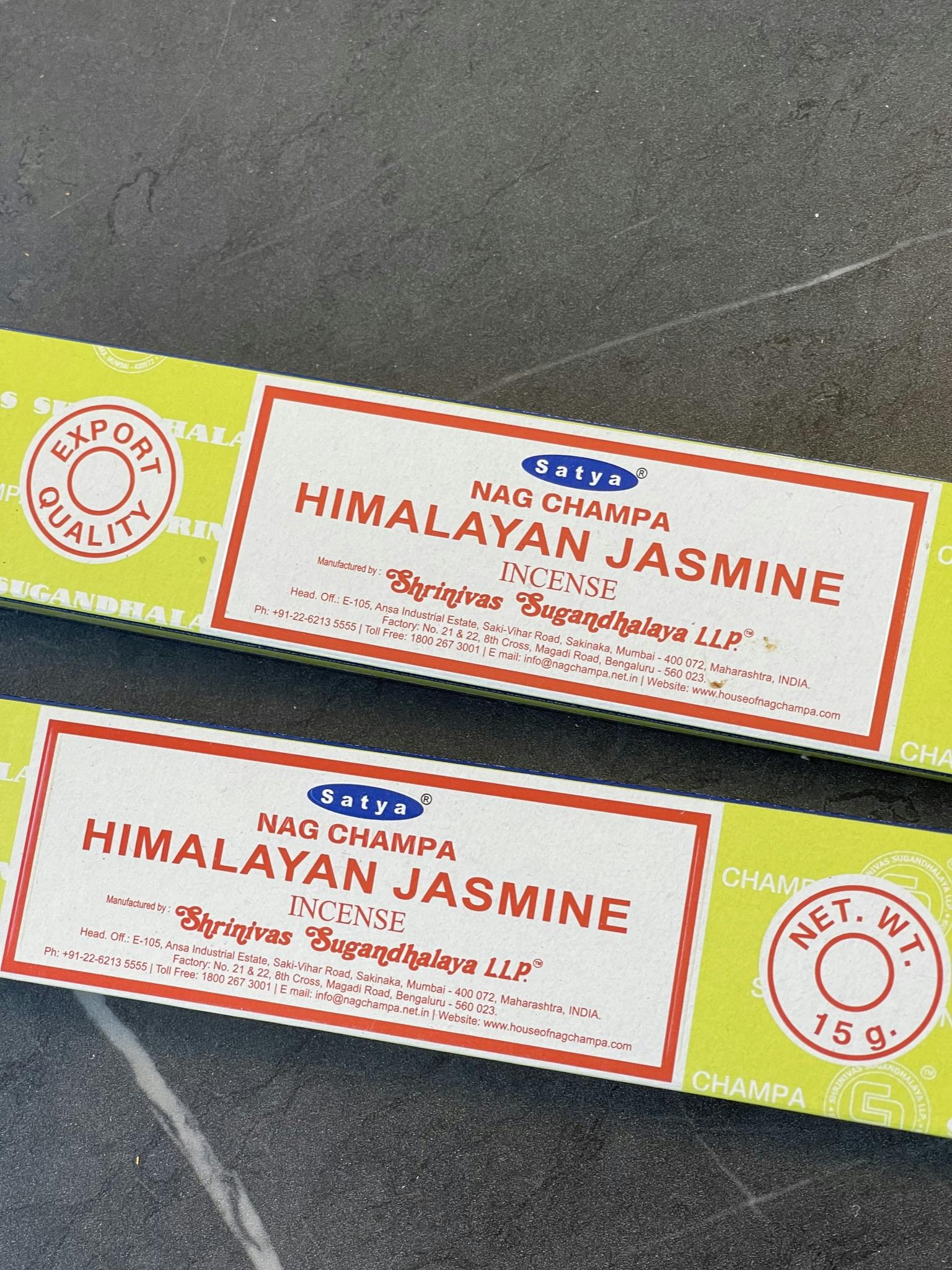 Himalayan Jasmine