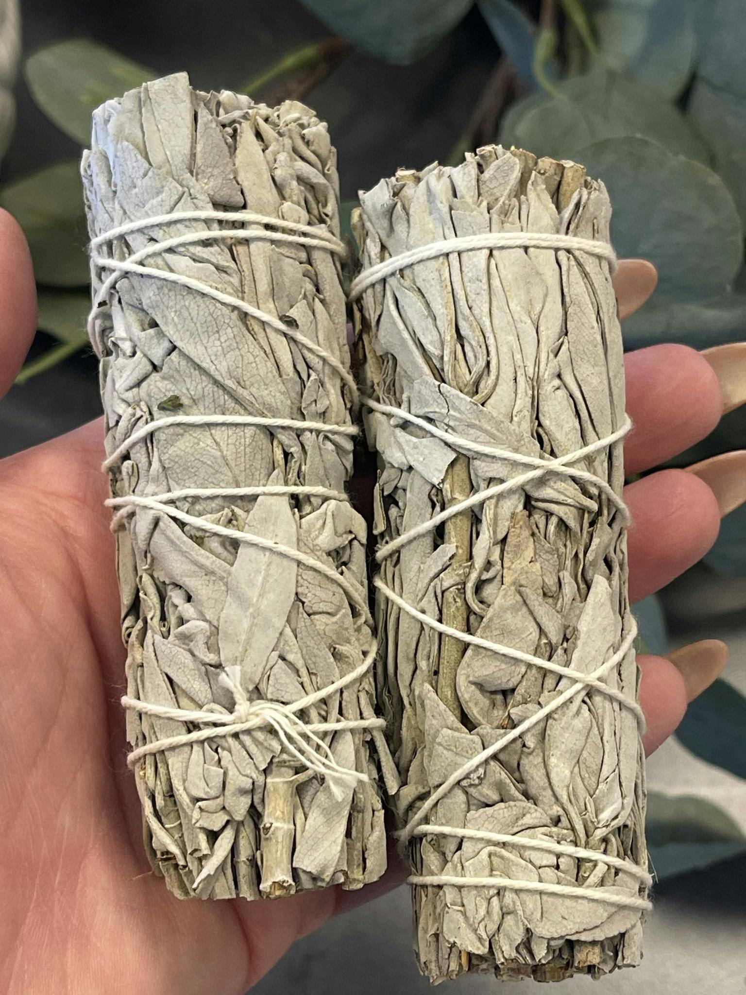 Vit Salvia Cylinder hållbart odlad