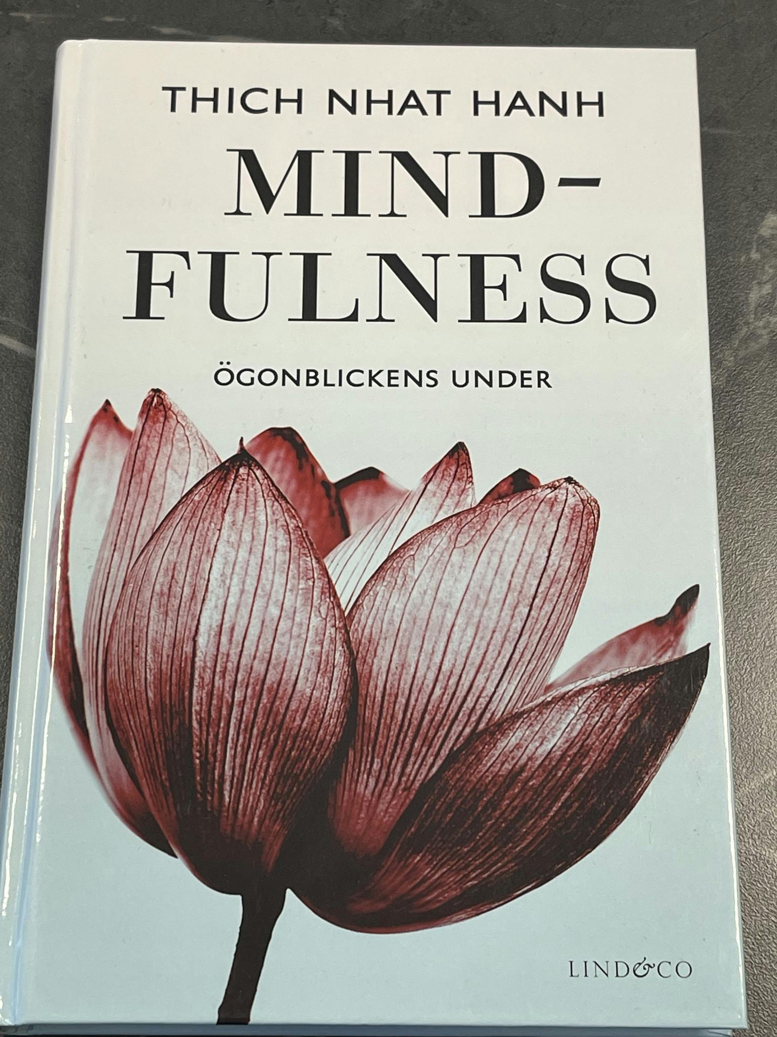 Mindfullness - Ögonblickens Under