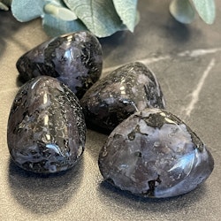 Indigo Gabbro