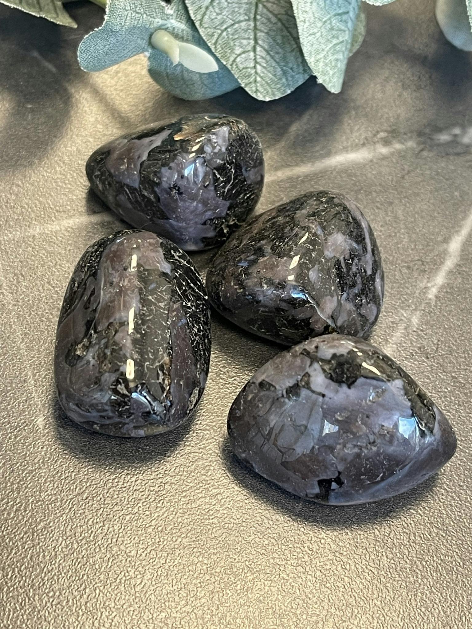 Indigo Gabbro