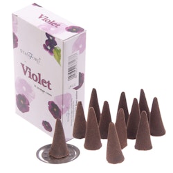 Violet, rökelsekoner, Stamford