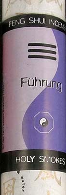 Ledning, Führung, Feng Shui
