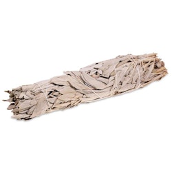 White Sage (Salvia), Smudge L