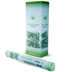 White Sage, Salvia rökelse, Green Tree