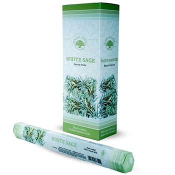 White Sage, Salvia rökelse, Green Tree