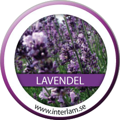 Lavendel, Interlam, Vaxkaka