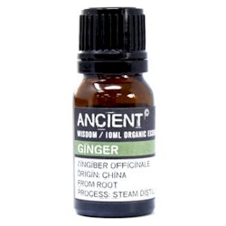 Ingefära, Ginger, Organic Eterisk Olja, Ancient Wisdom, 10ml