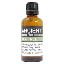 Tea Tree Organic, Eterisk Olja 50ml, Ancient Wisdom