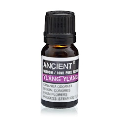 Ylang Ylang III, Eterisk Olja 10ml, Ancient Wisdom