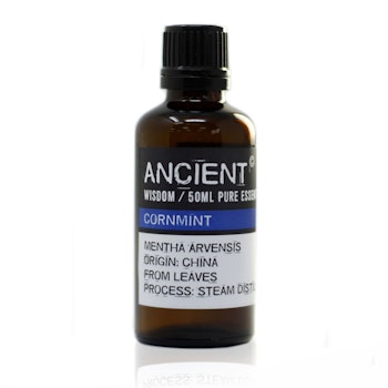 Åkermynta, Cornmint, Eterisk Olja 50ml, Ancient Wisdom