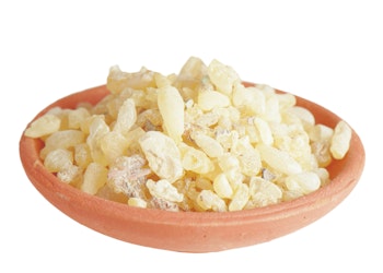 Sandarak Resin, 60ml, Berk