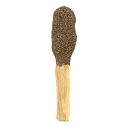 Rosmarin, Palo Santo Klubba, 12 cm