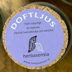 Lavendel, Doftljus, Herbasensia