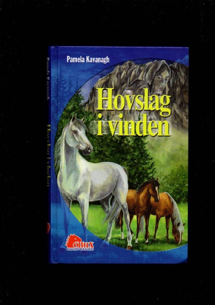 Hovslag i vinden av Kavanagh Pamela