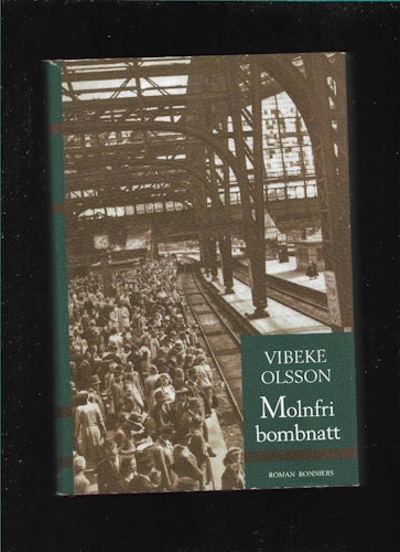 Molnfri bombnatt av Olsson Vibeke