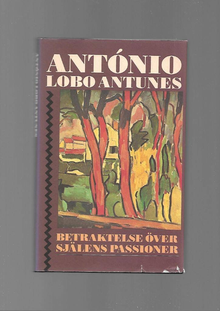 Betraktelse över själens passioner av Lobo Antunes António