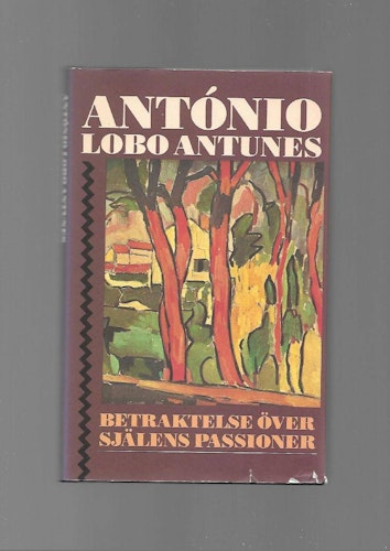 Betraktelse över själens passioner av Lobo Antunes António