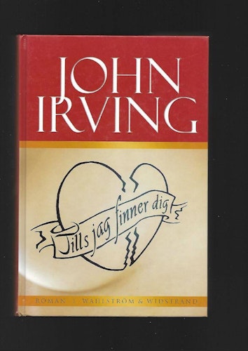 Tills jag finner dig av Irving John