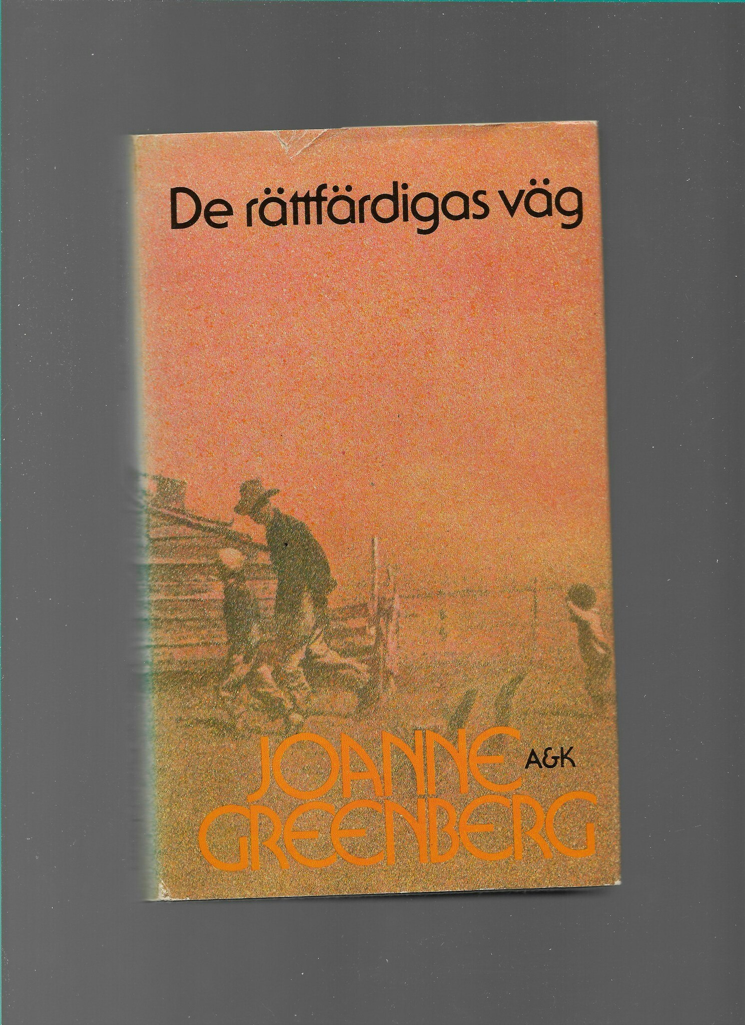 De rättfärdigas väg av Greenberg, Joanne