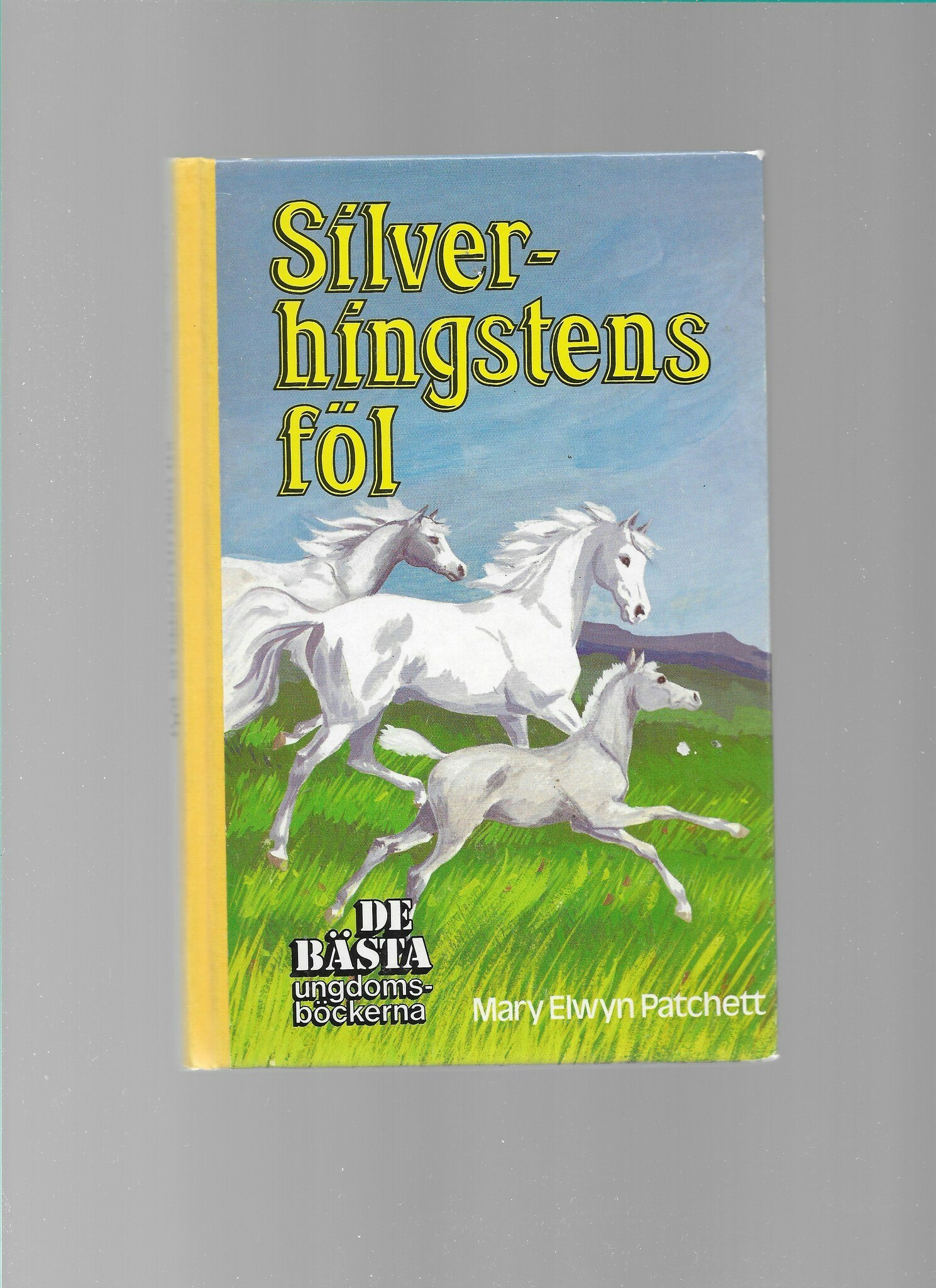 Silverhingstens föl av Patchett, Mary Elwyn