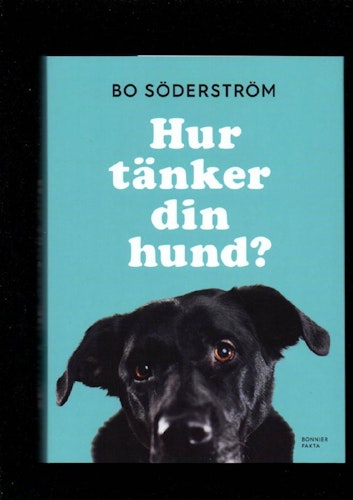 Hur tänker din hund? av Söderström Bo