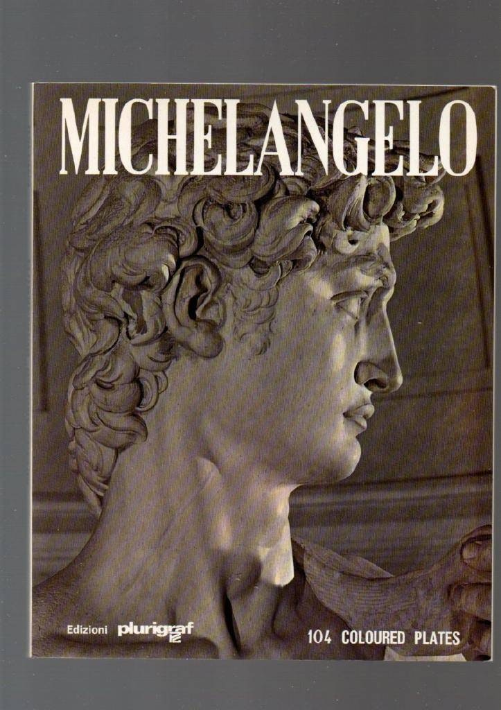 Michelangelo av Santini Loretta
