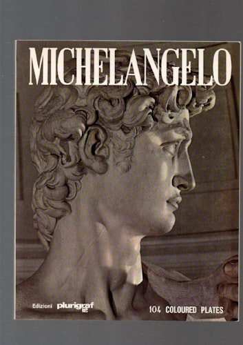 Michelangelo av Santini Loretta