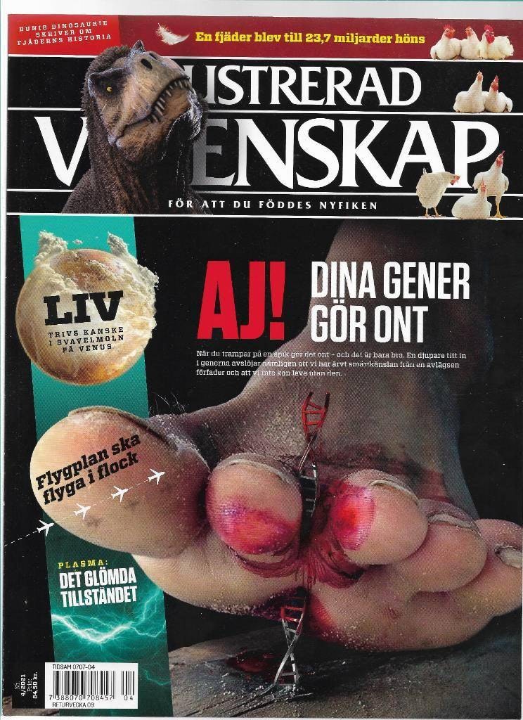 Illustrerad vetenskap nr 4 2021 av Förlag