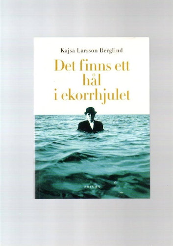 Det finns ett hål i ekorrhjulet av Larsson Berglind Kajsa