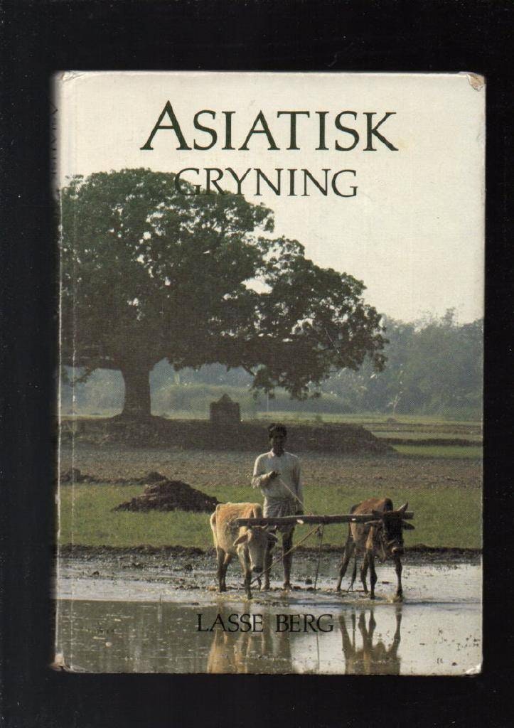 Asiatisk gryning av Berg Lasse