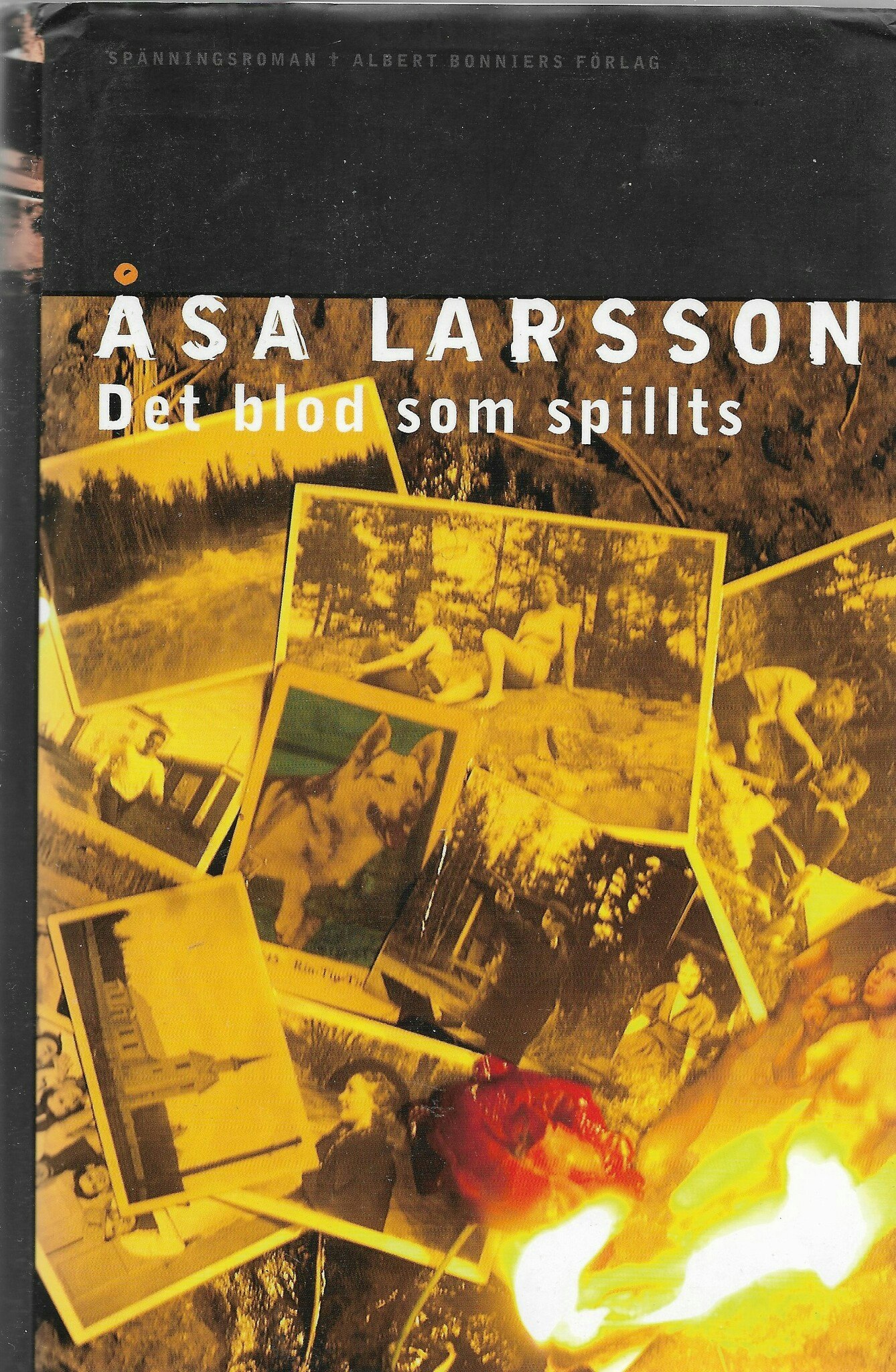 Det blod som spillts av Larsson, Åsa