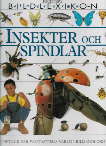 Insekter och spindlar : bildlexikon av McCormick, Rosemary - Phillips, Sarah - Reed