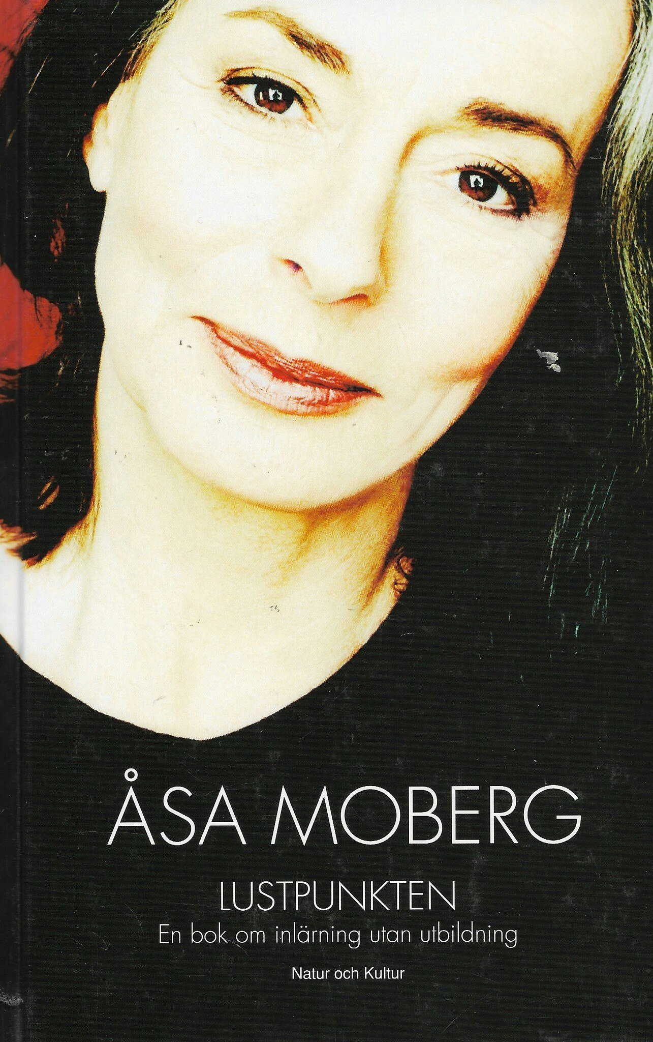 Lustpunkten : en bok om inlärning utan utbildning av Åsa Moberg