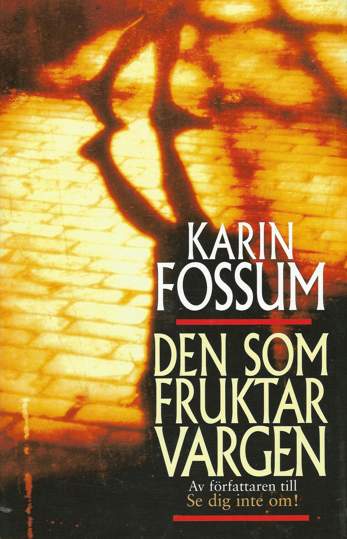 Den som fruktar vargen av Fossum Karin