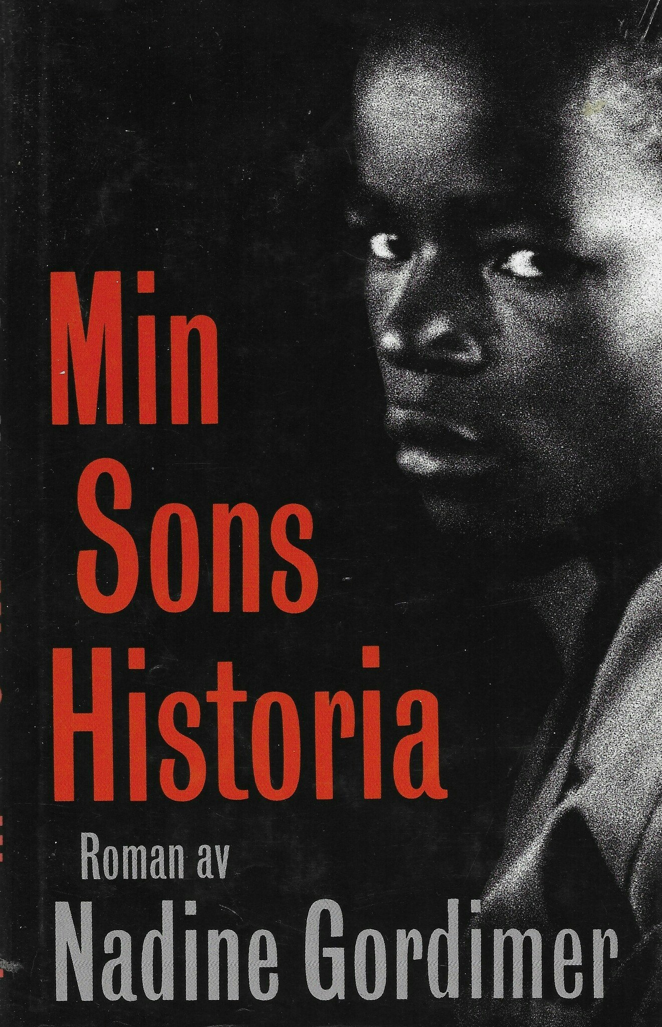 Min sons historia av Gordimer, Nadine