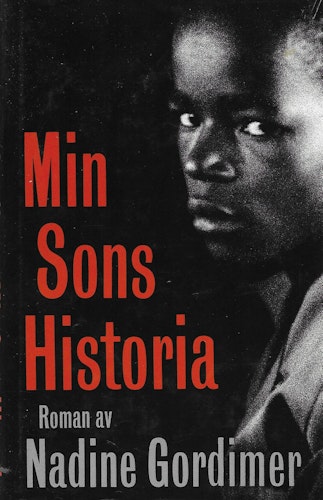 Min sons historia av Gordimer, Nadine