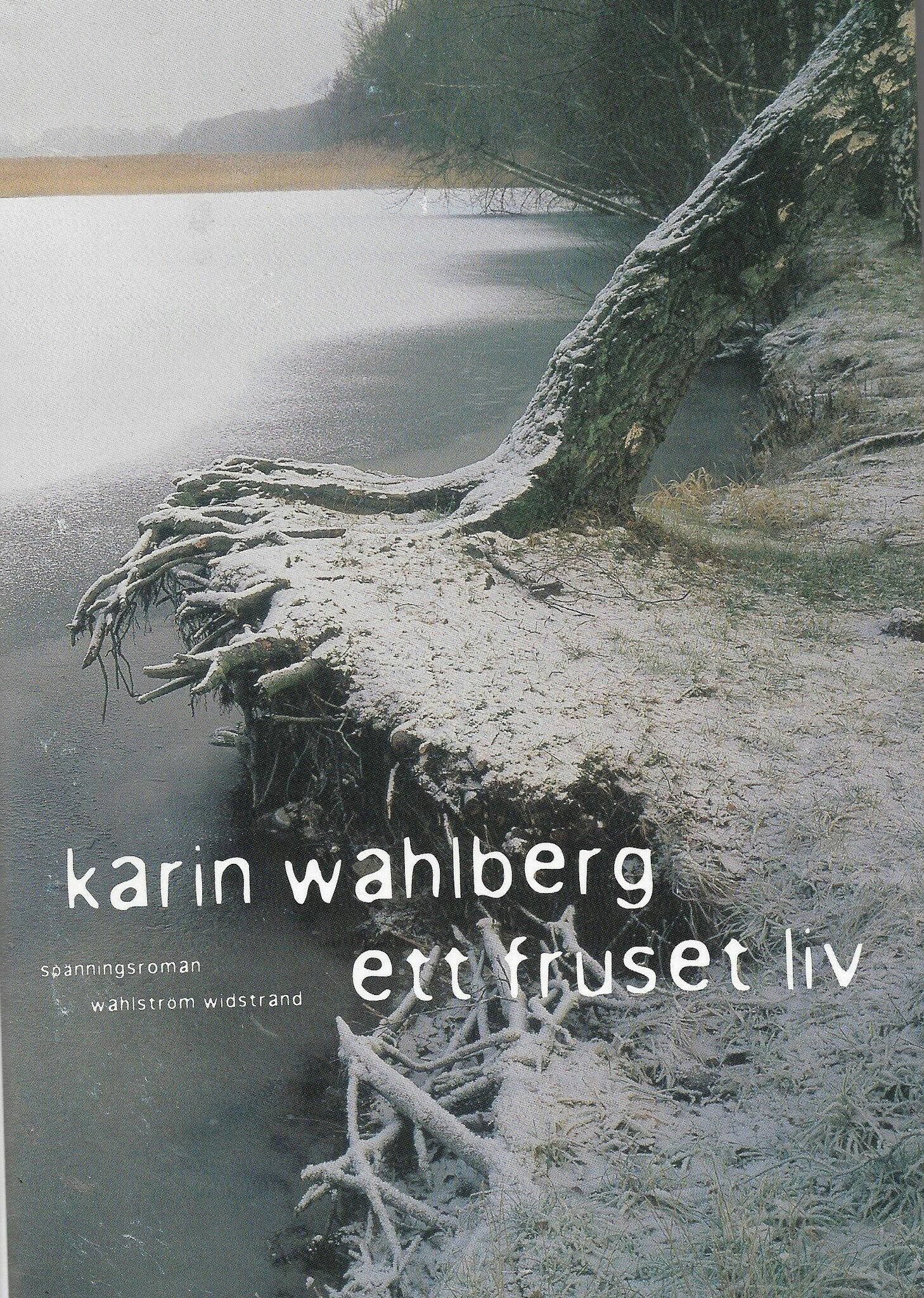 Ett fruset liv av Wahlberg, Karin
