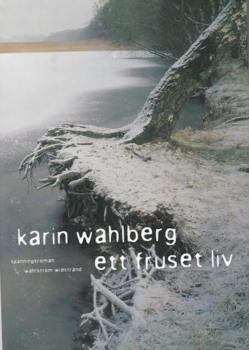 Ett fruset liv av Wahlberg, Karin