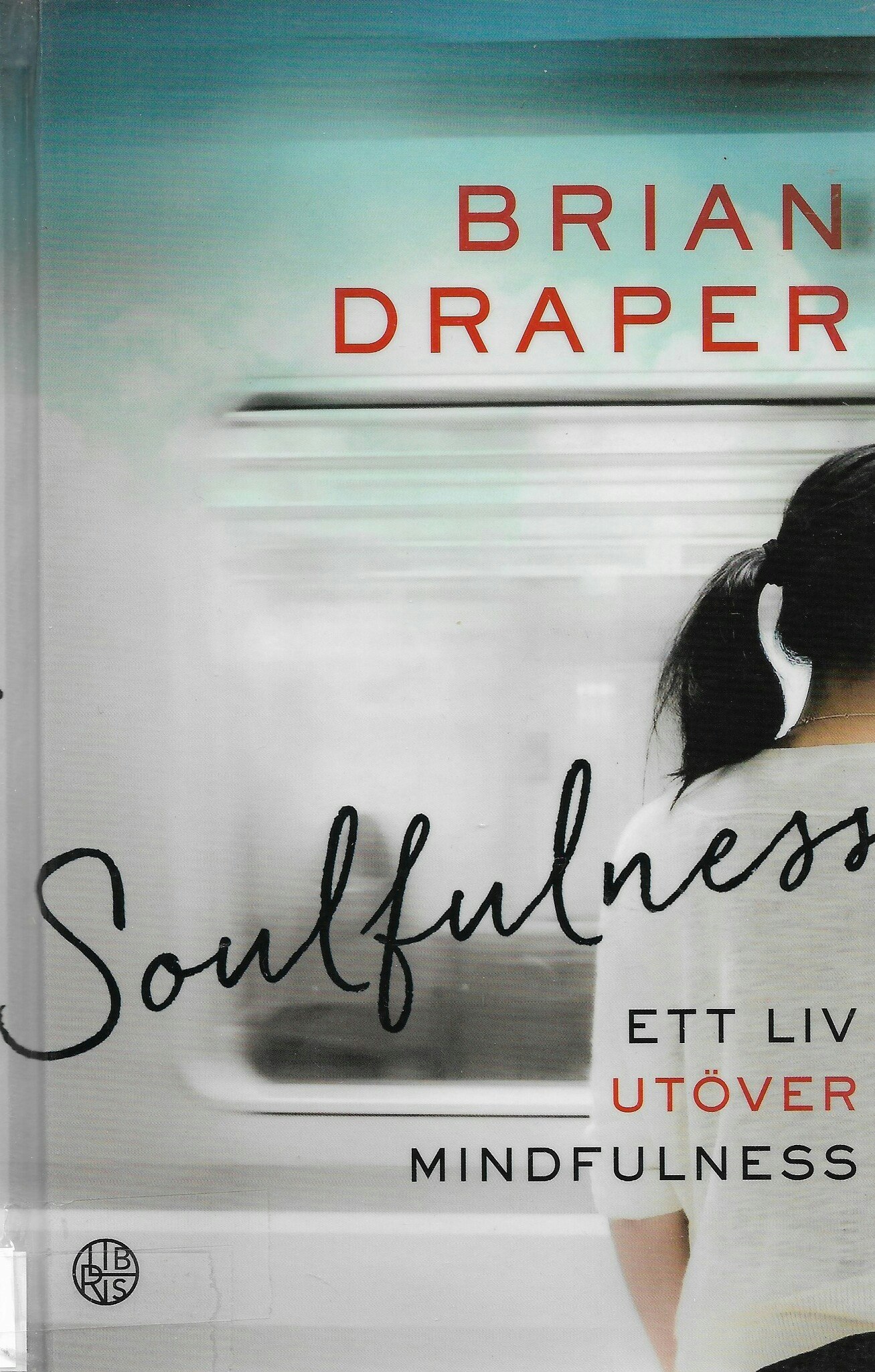 Soulfulness : ett liv utöver mindfulness av Draper, Brian