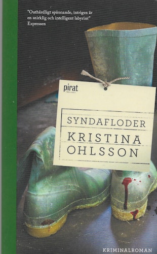 Syndafloder av Ohlsson, Kristina
