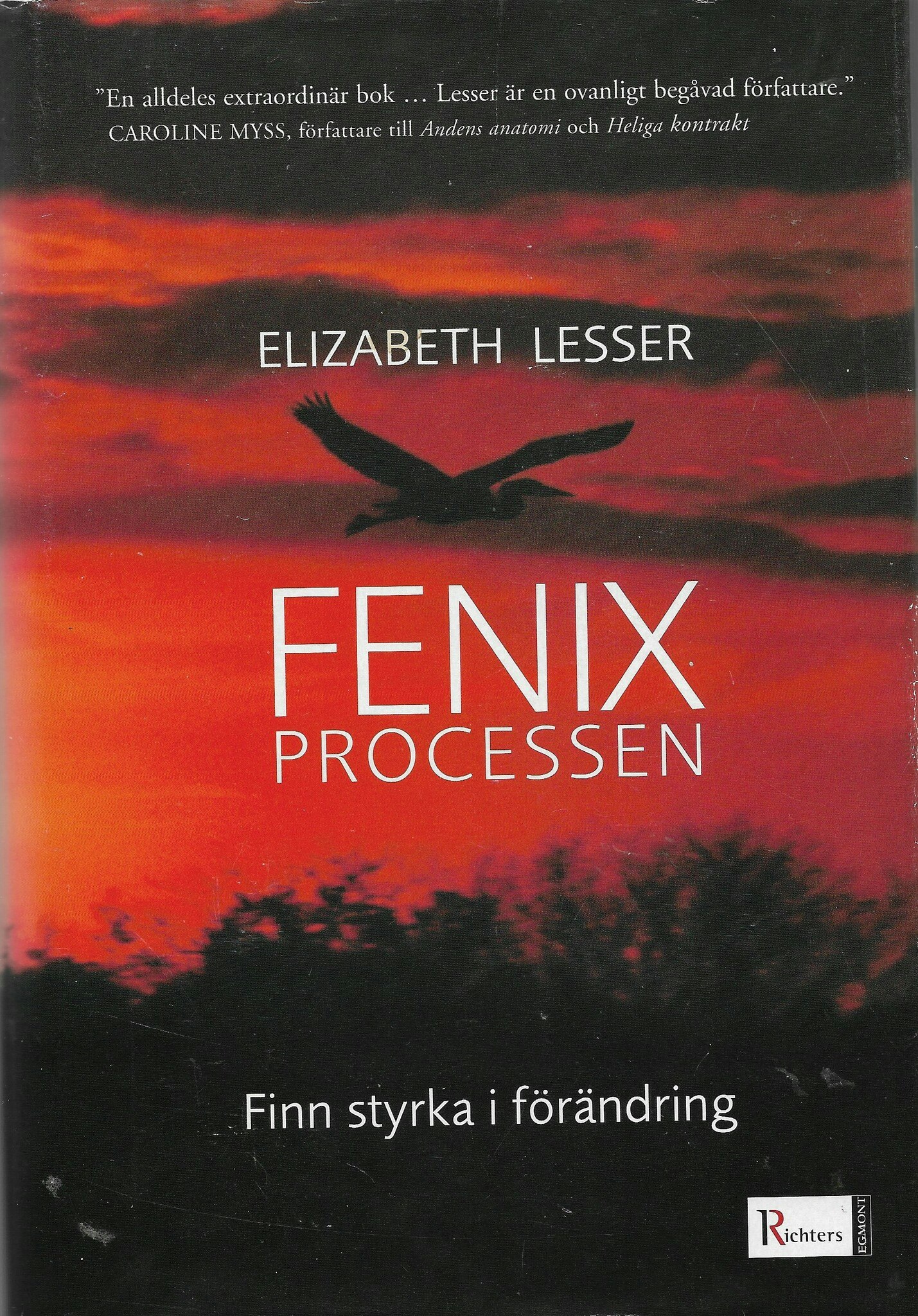 Fenixprocessen : finn styrka i förändring av Lesser, Elizabeth