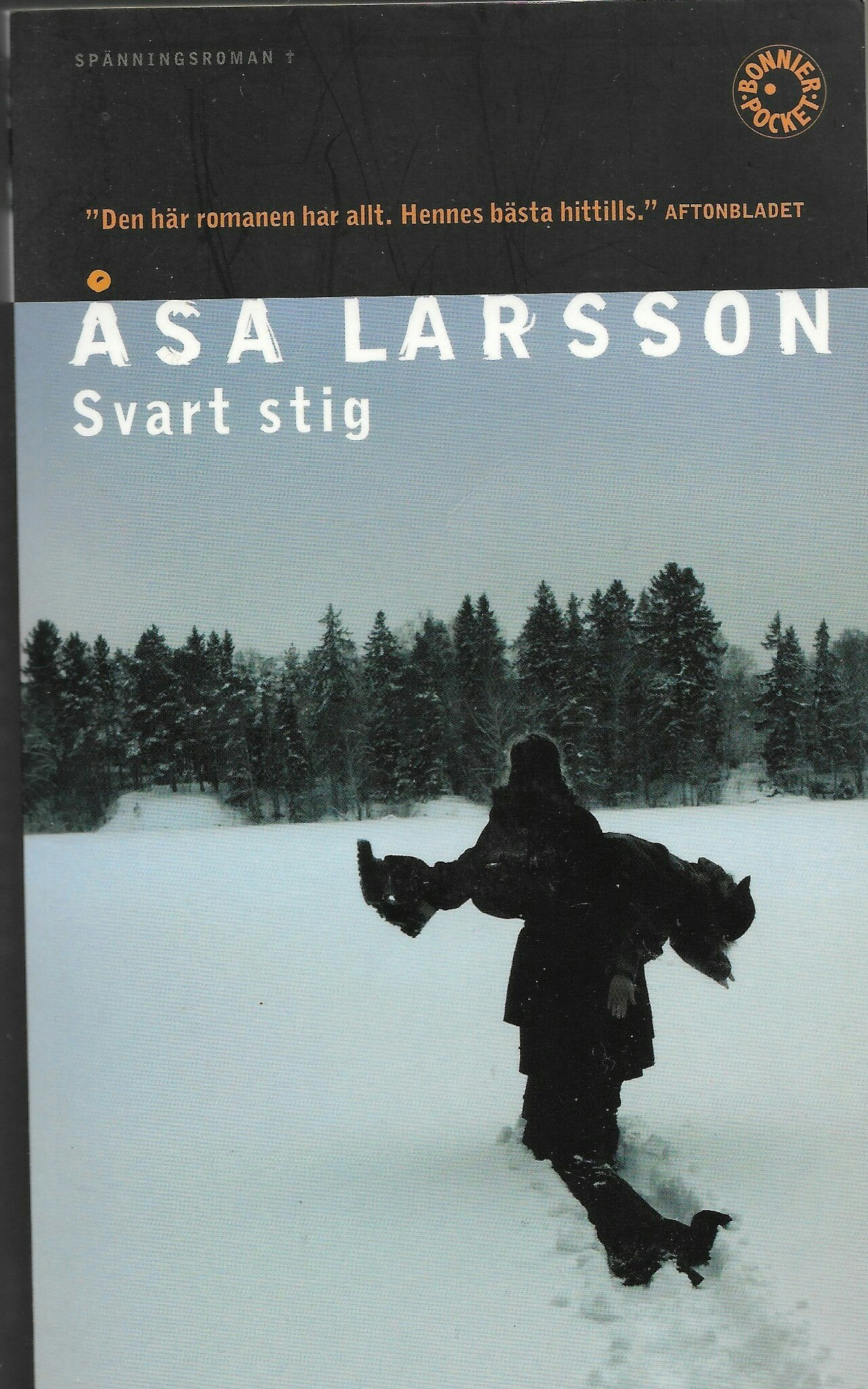 Svart stig av Åsa Larsson