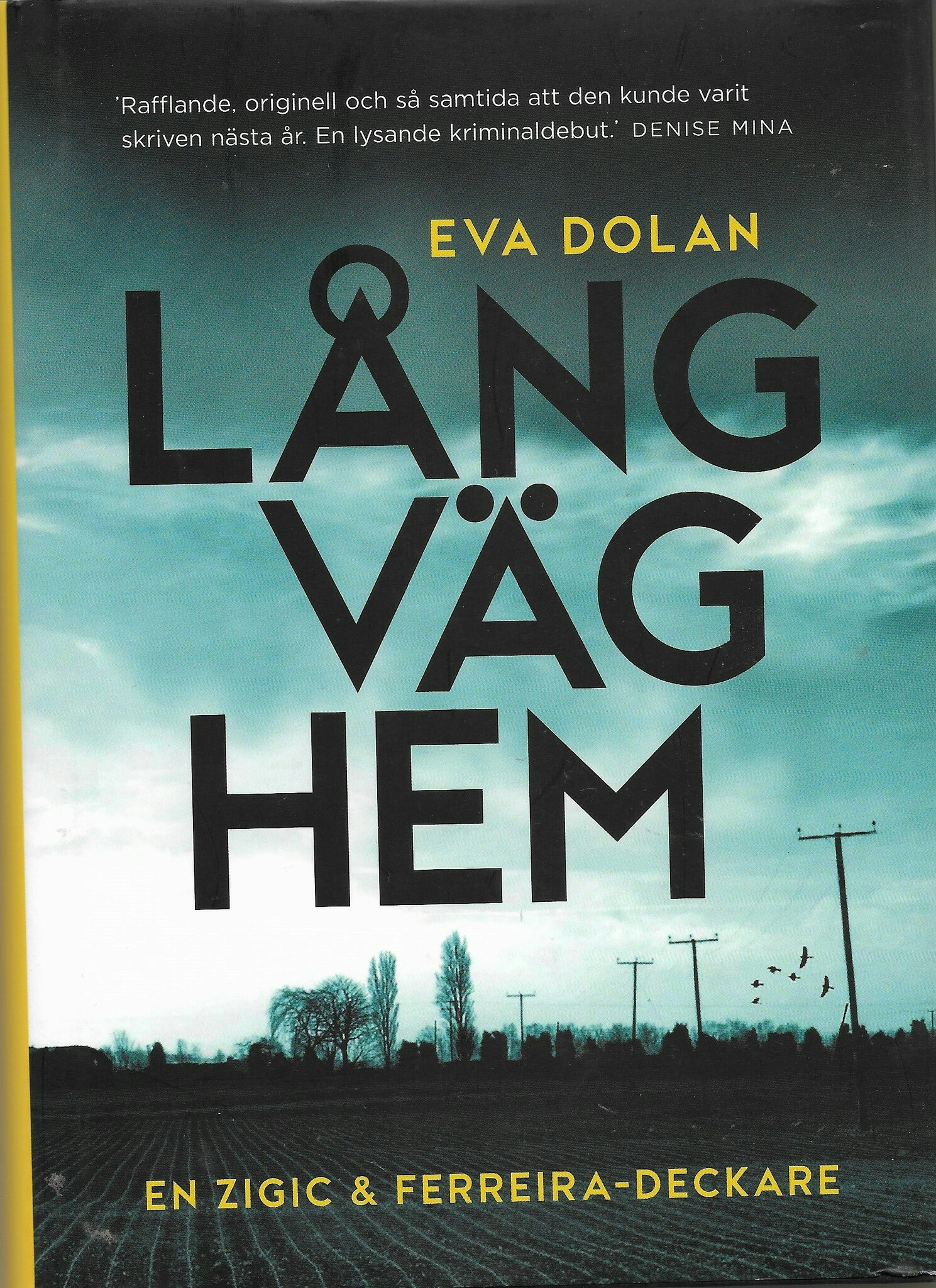 Lång väg hem av Dolan, Eva